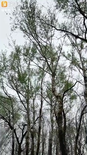 天在下雨我想你