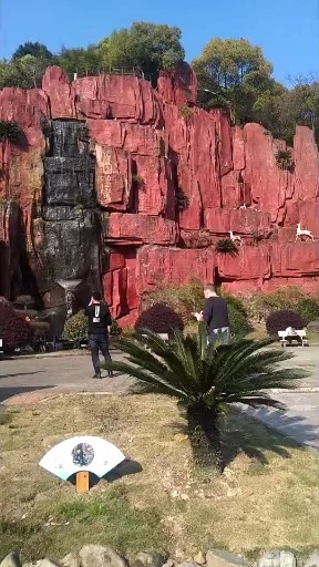 扣扣