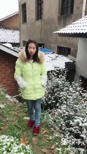 沙漠骆驼