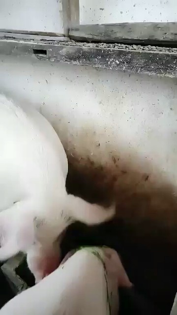 😂