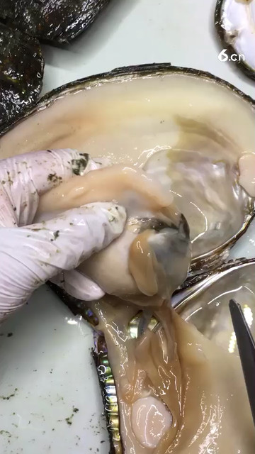 喜欢紫色关注双击