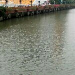 半岛看球海报