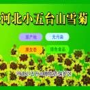 路路通f