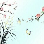 @拒绝融化的冰