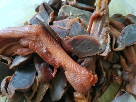 吃货🐽猪猪^O^主播照片