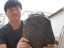 华南虎3731226主播照片