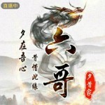 中原浪子yht海报
