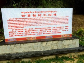 实力决定话语权主播照片
