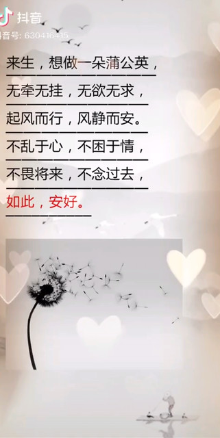 淡定……