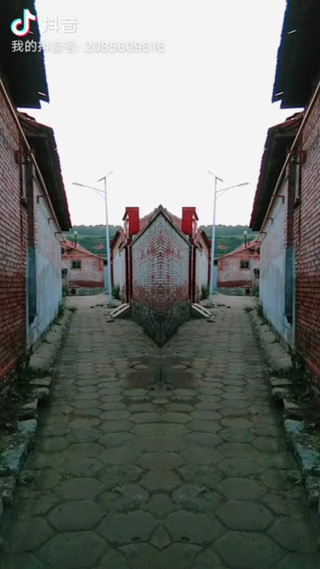 两岔路走那个路回家才对呀❓❓