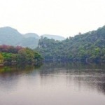 已卸载，再见