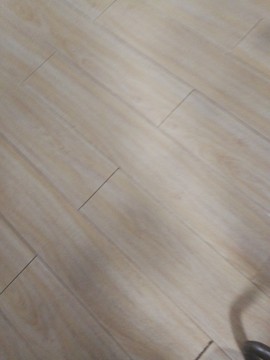 回家中主播照片
