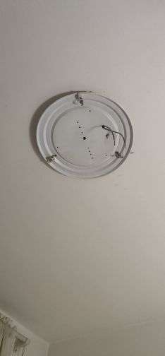 大大大脸酒娃娃主播照片