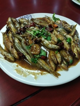 吃货🐽猪猪^O^主播照片