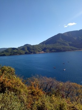 优雅弯弯主播照片