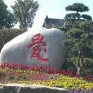 阳光81z