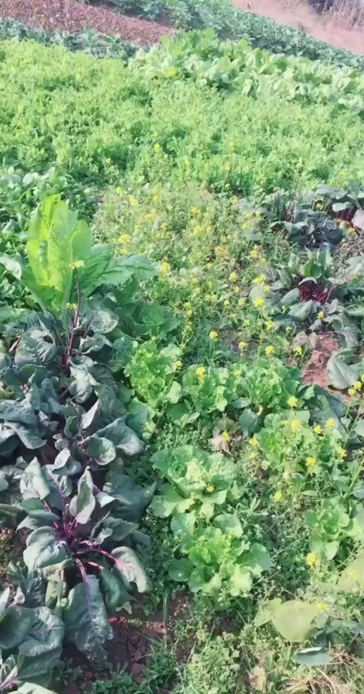 爱我就跟我走