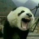 北方其实不冷的