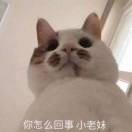 潇潇潇！！！
