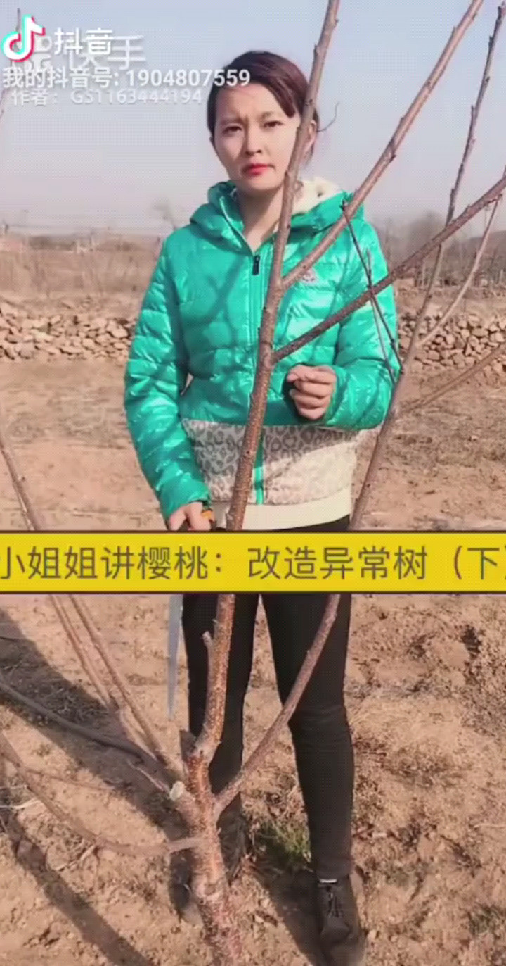 异常枝的修剪