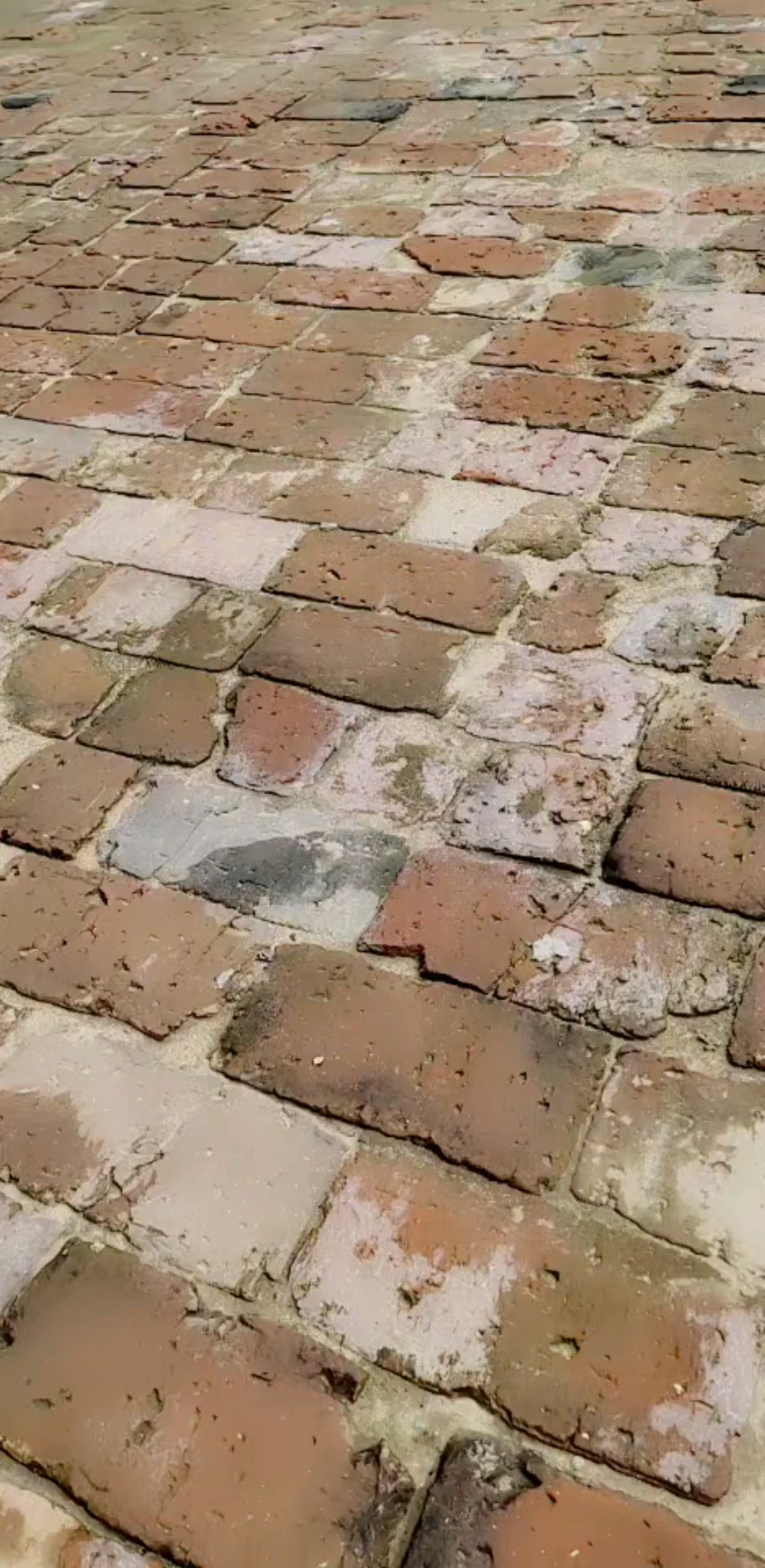 😁😁