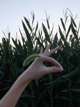 ღ瑋玮主播照片