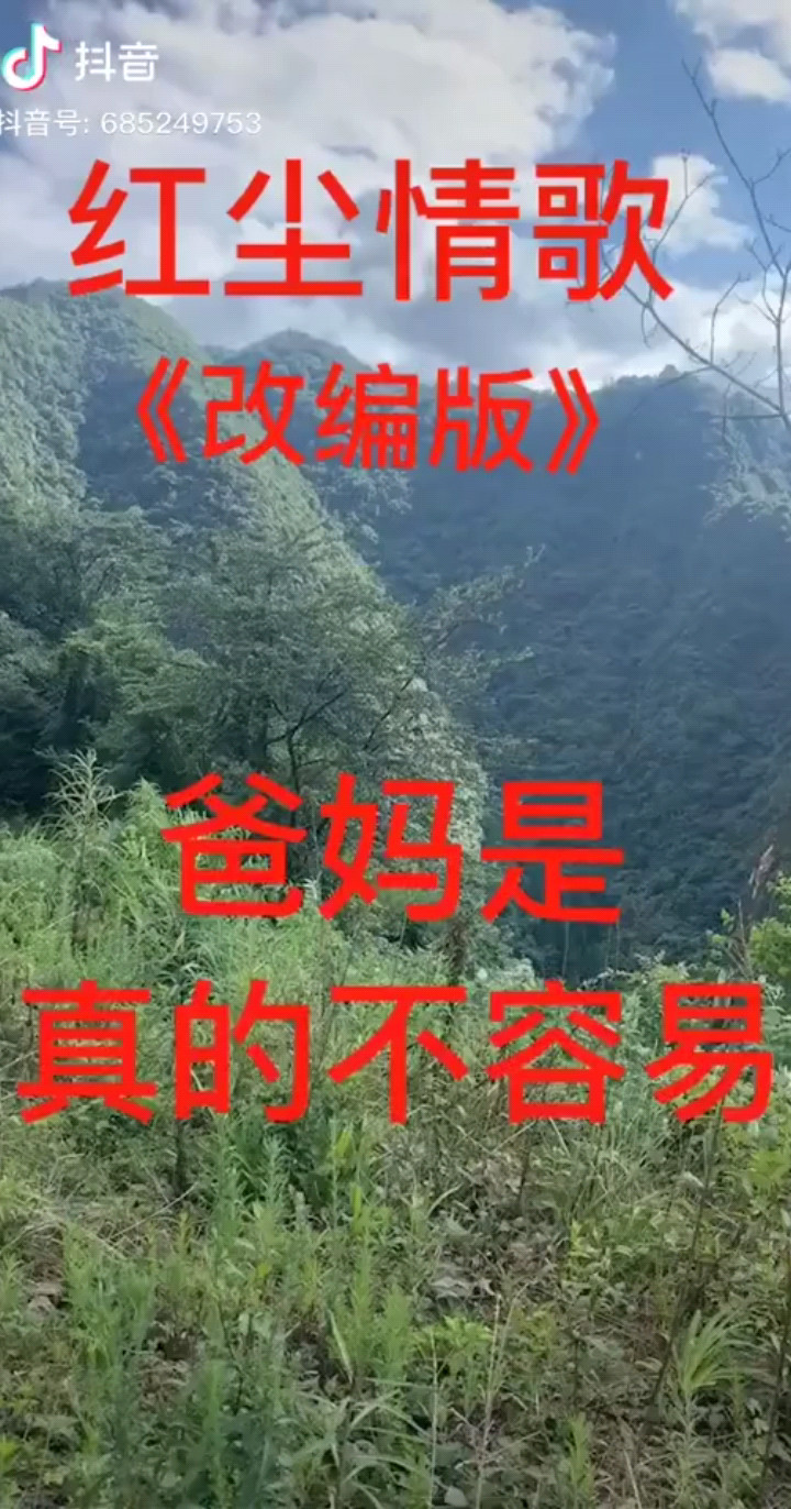 红尘情歌