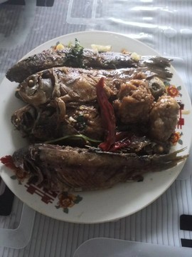 吃货🐽猪猪^O^主播照片
