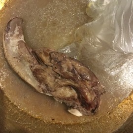 新人21😌主播照片