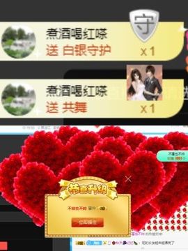 海鸽晚上见主播照片