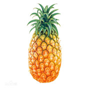 🍀大菠萝🍍的头像