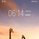 大米6z海报