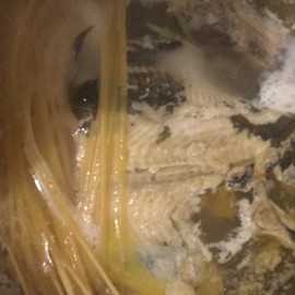 新人21😌主播照片