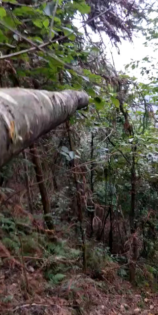 标题违规
