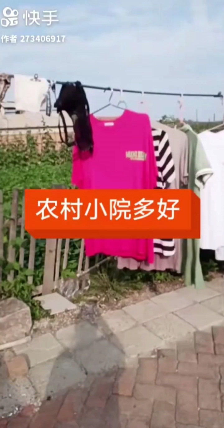 农村小院多好
