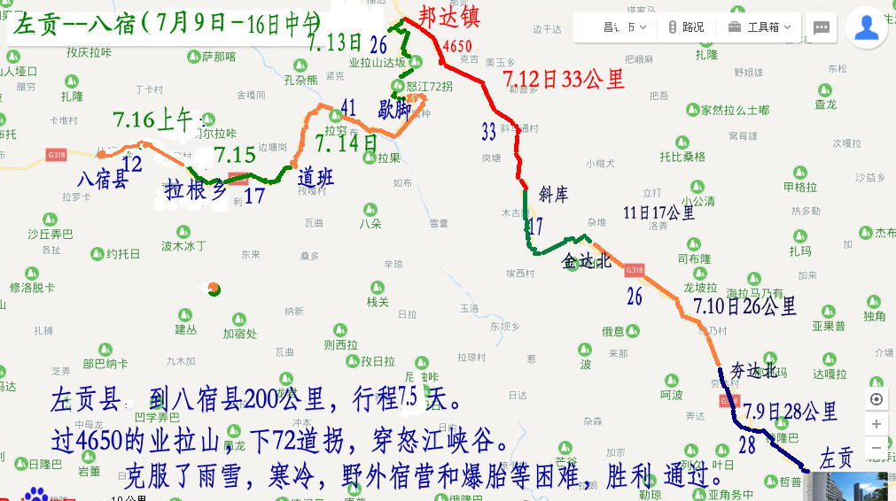 熊大楼兰甘肃宁夏内蒙的图片