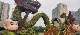 京城少爷🇨🇳敬礼主播照片