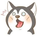 二狗子uz