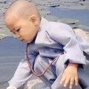 自在❤️