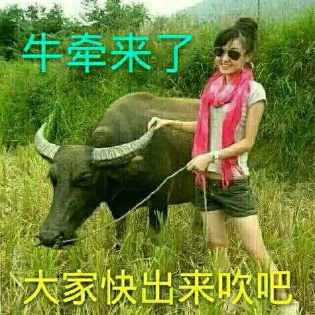 广州-东哥的主播照片