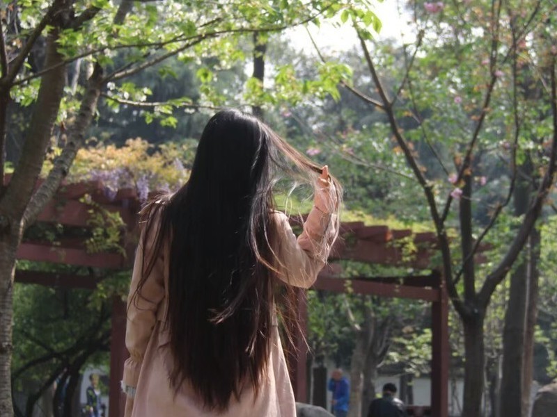 一一🍁的主播海报