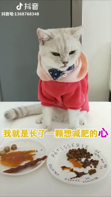 咋越减肥越肥呢