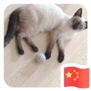 徐政鸿海报