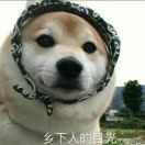 小阮w