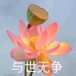 与世无争♞♥