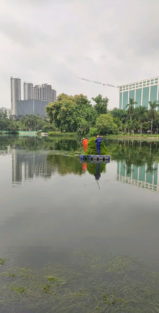 平静如水