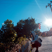 芥末➕可乐
