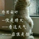 麦兜飞扬BAyi