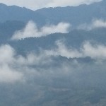 小念同学头像