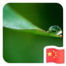 便宜就是贵c海报
